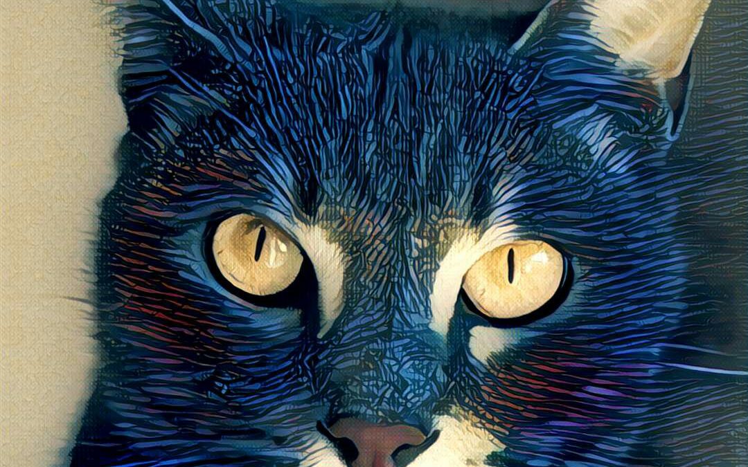 Caturday Art: Handsome Kitty